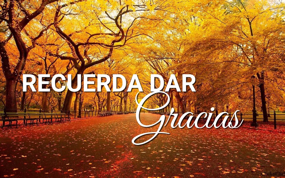 Recuerda Dar Gracias — ICP Orlando